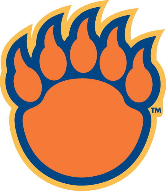 Morgan State Bears 2002-Pres Alternate Logo diy iron on heat transfer